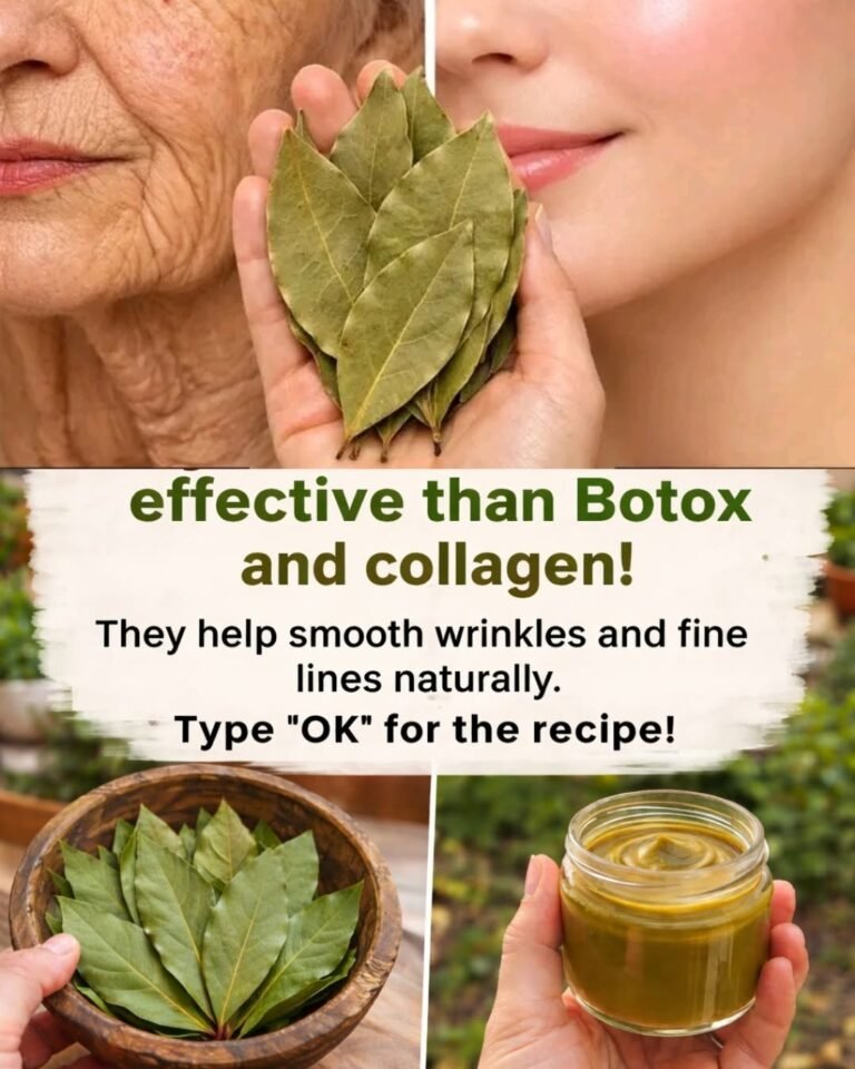 Bay Leaves for Skin Care: Natural Tips to Support a Smoother Appearance with Easy Home Recipes