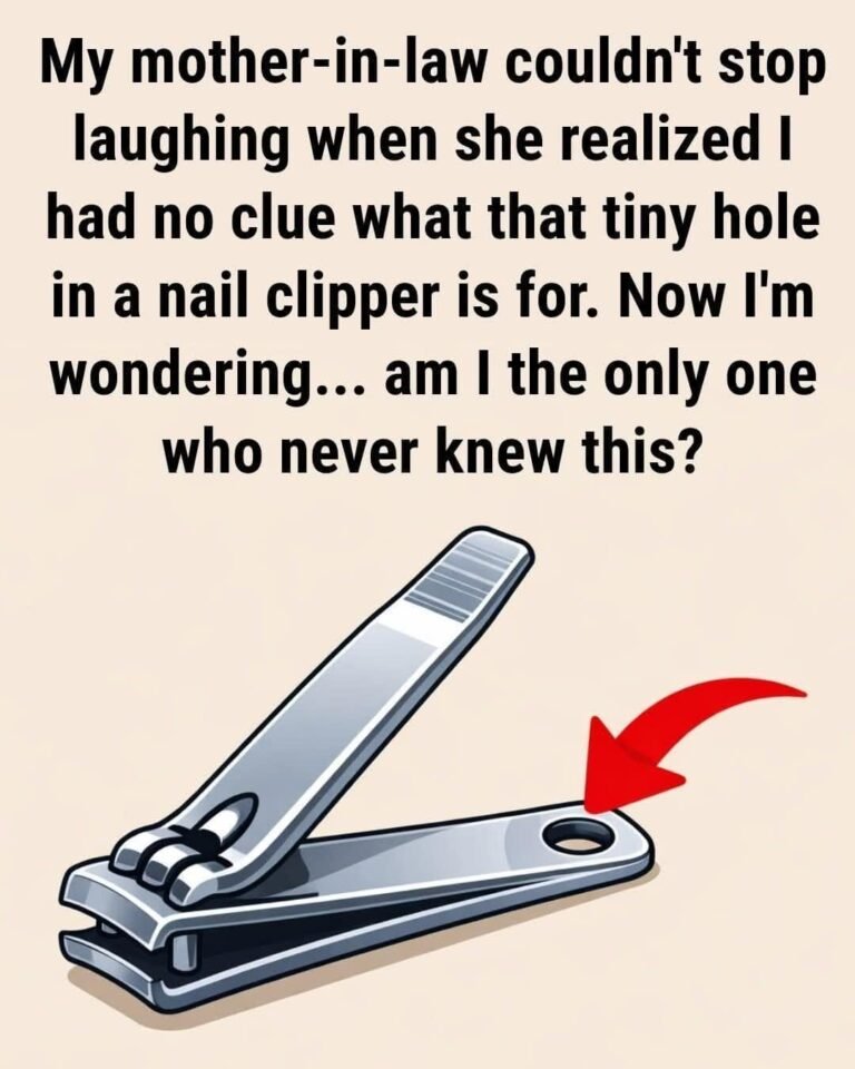  What Is the Small Round Hole on a Nail Clipper For? The Clever Design Feature Most People Overlook