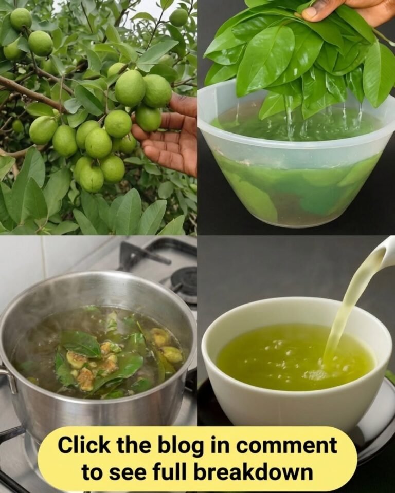 How to Use Guava Leaves to Support Heart Health