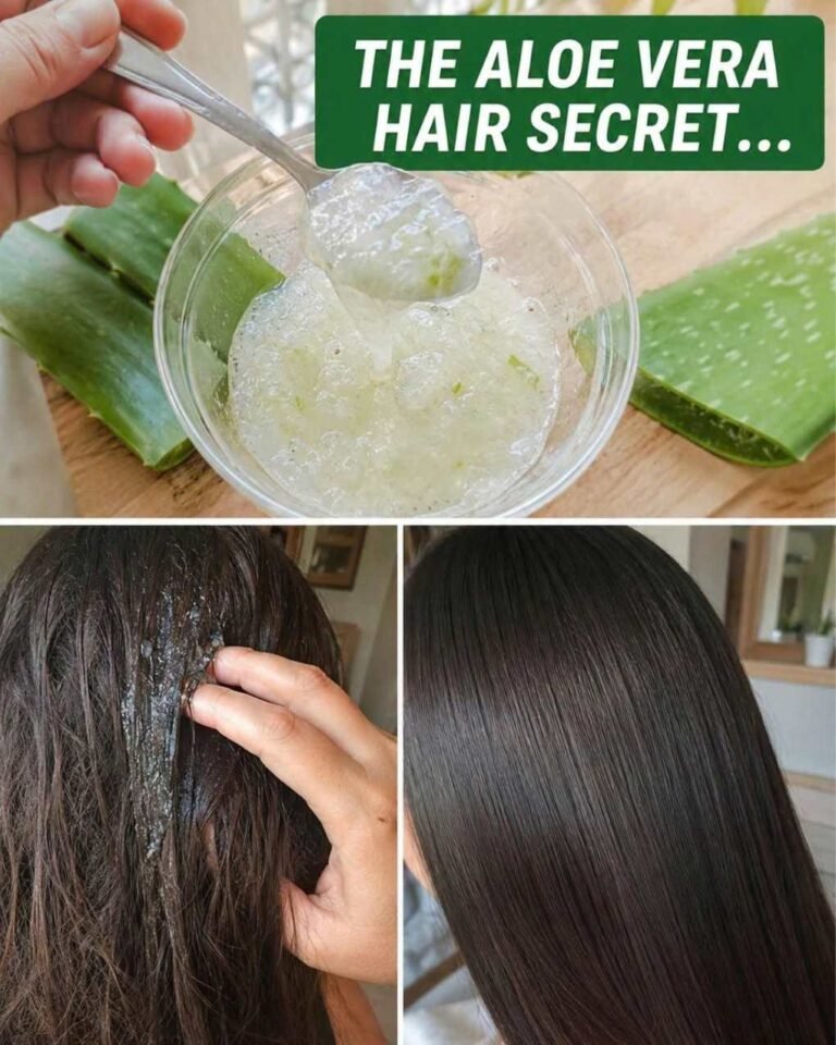 Aloe Vera Oil for Hair Care 2026: Scalp Wellness, Preventive Healthcare, Health Insurance, and Financial Planning