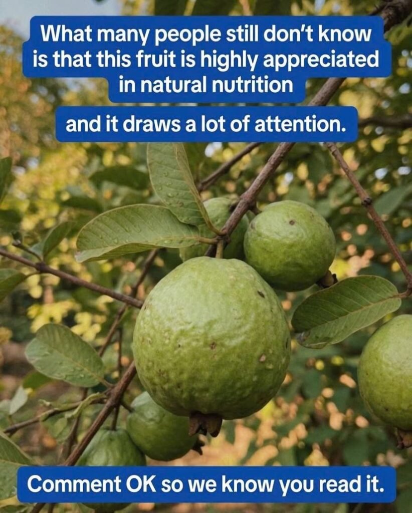 What Many People Don't Realize About Guava and Blood Sugar