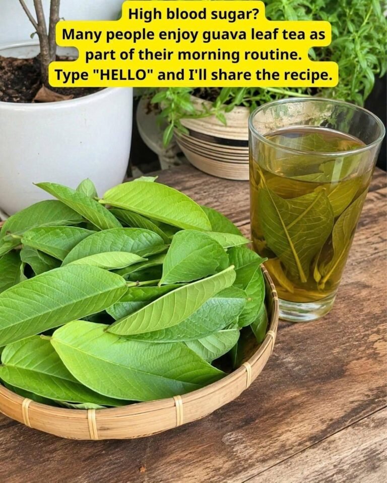 Guava Leaf Tea Hits Blood Sugar Hard Where It Starts