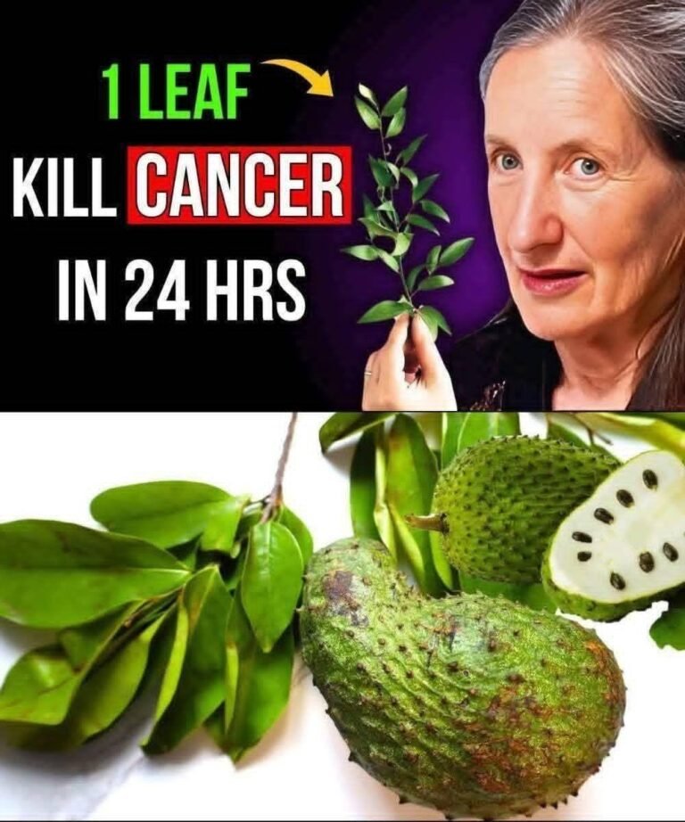Soursop Leaves: Tradition, Research & Safety