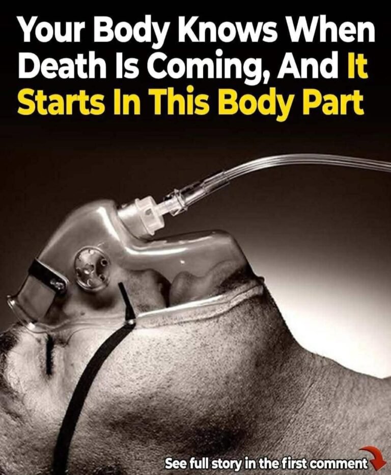 A research reveals your body knows when death is near, and it all starts in the nose
