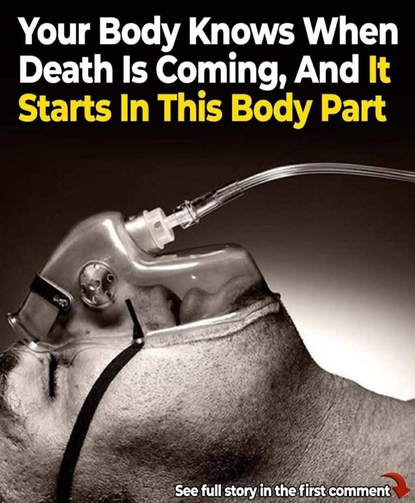 A research reveals your body knows when death is near, and it all starts in the nose