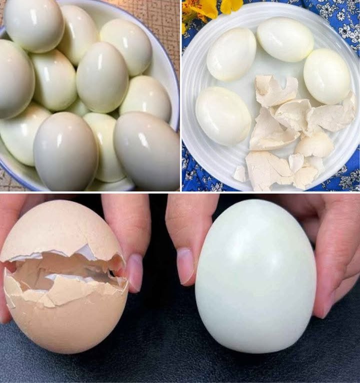 15 Smart Ways to Use Eggshells at Home and in the Garden