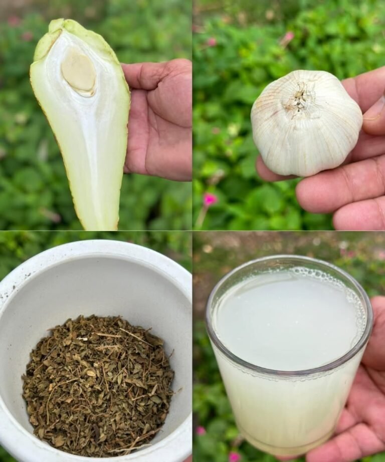 The Miracle Drink for Pancreas, Diabetes, Liver, Circulation & Cancer