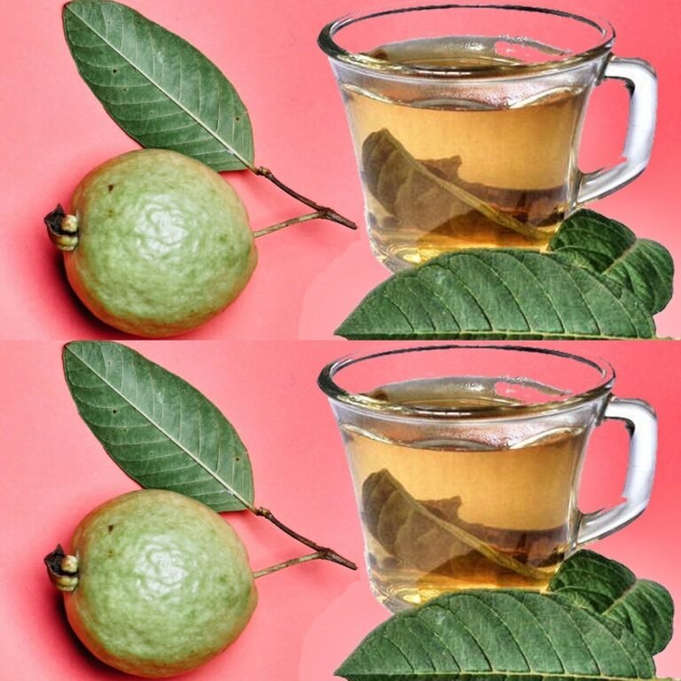 What Happens When You Drink Guava Leaf Tea? – 3 Key Benefits