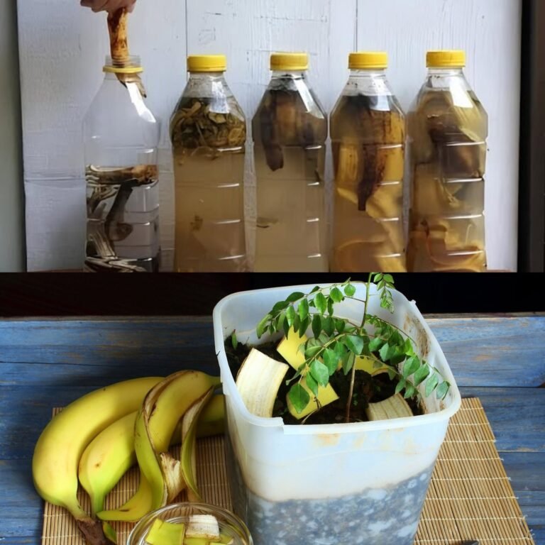 🍌 Banana Peels: Surprising Uses, Benefits, and What Science Says