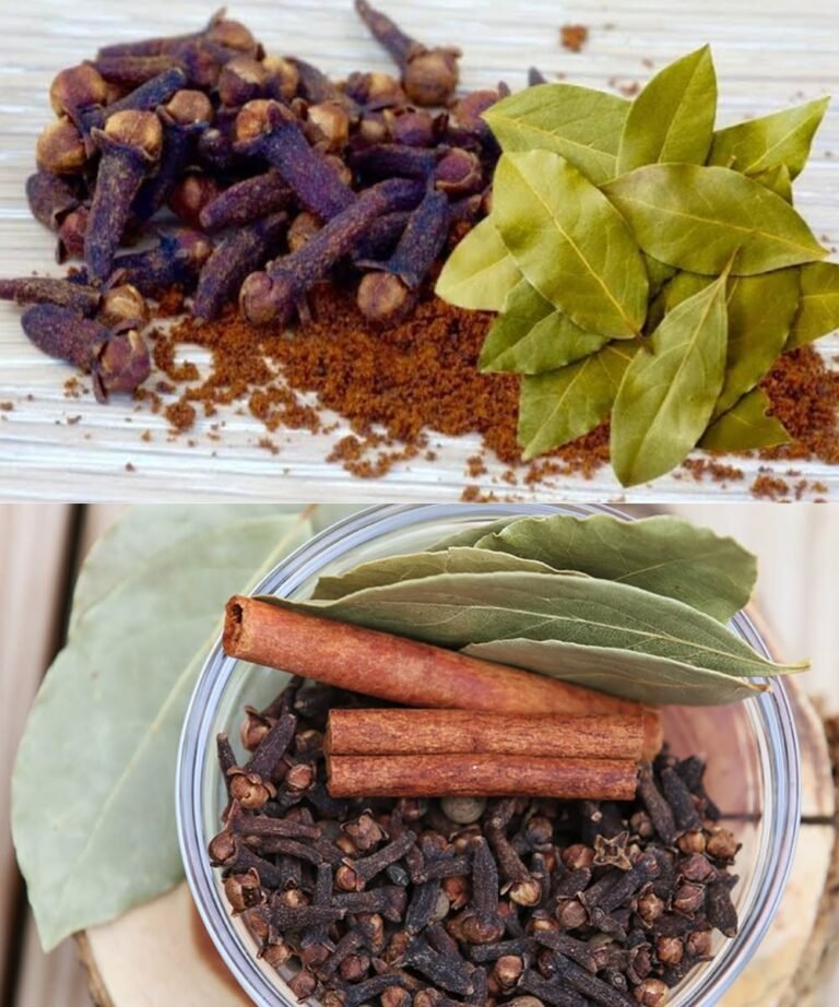 Bay Leaf + Clove Tea – What’s Real?
