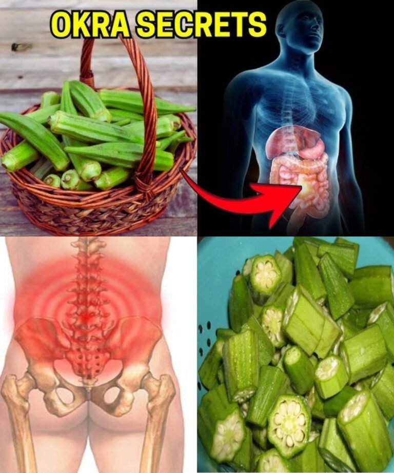 OKRA BENEFITS – 20 Impressive Health Benefits of Okra You Need to Know!
