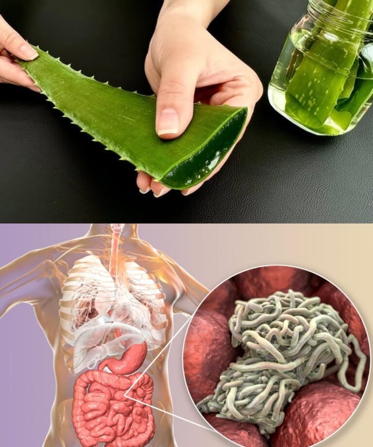 This Aloe Vera Recipe Is 150 Times Stronger Than Garlic, Lemon, and Antibiotics