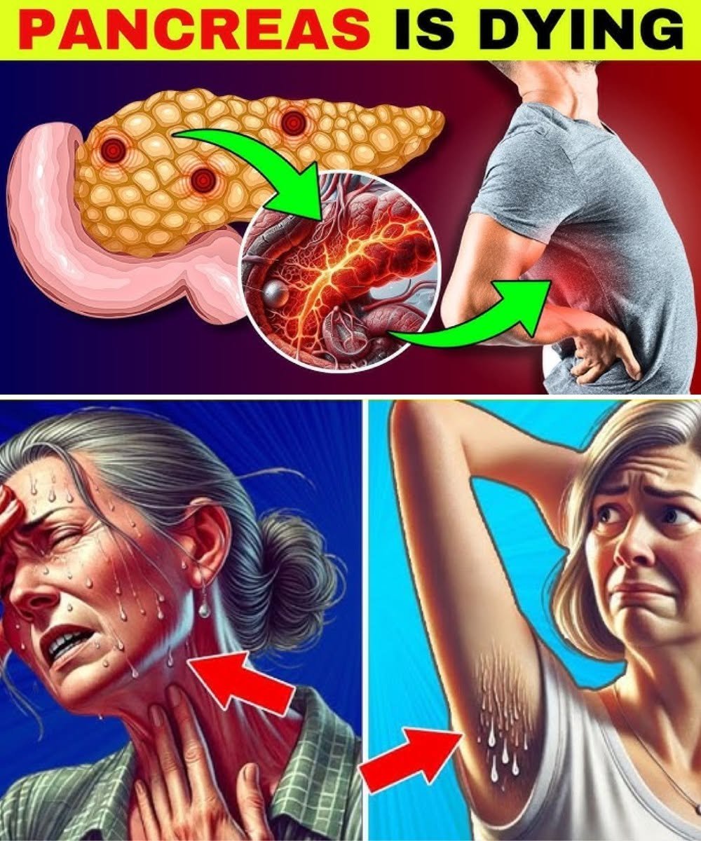 8 Shocking Signs of Pancreatic Cancer You Shouldn't Ignore