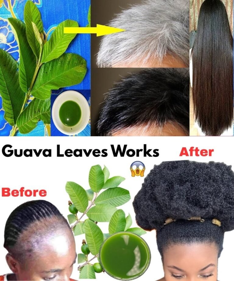 🌿 Can Guava Leaves Transform Your Hair Overnight? Here’s What You Should Know