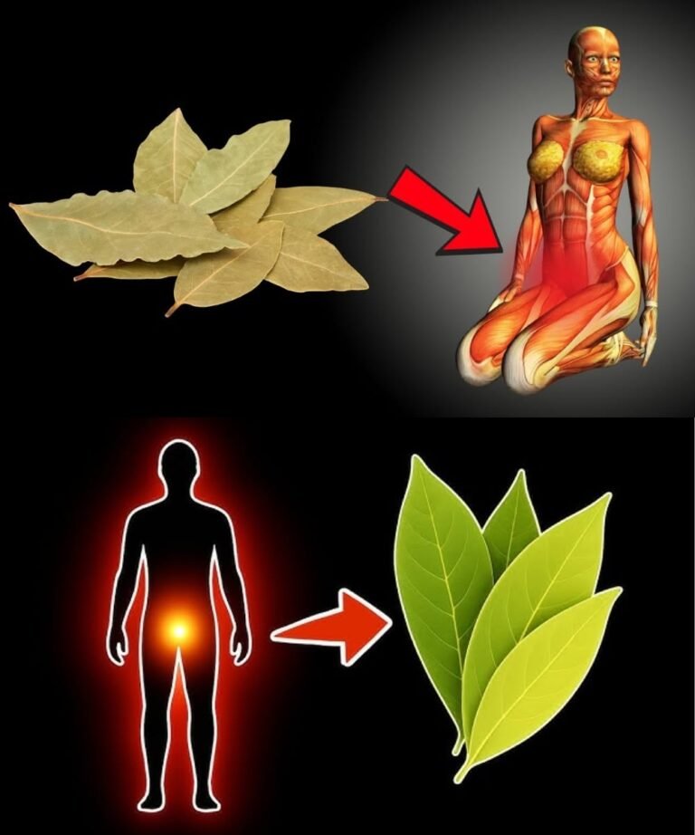 Drink Bay Leaf Tea Every Day and Be Amazed at What Happens 💥🤯