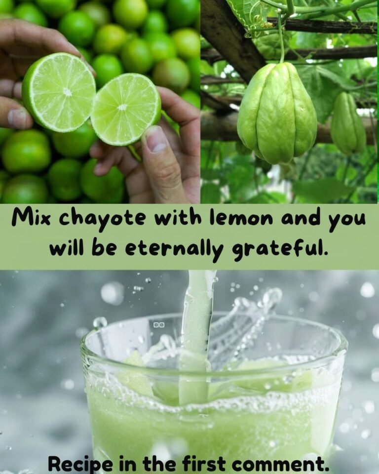 Chayote Benefits: Circulation, Anemia & Joint Pain Relief