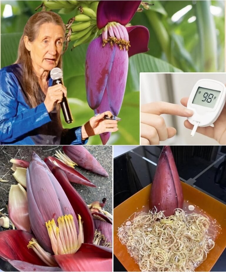Banana Blossom: A Healing Superfood with Culinary Versatility