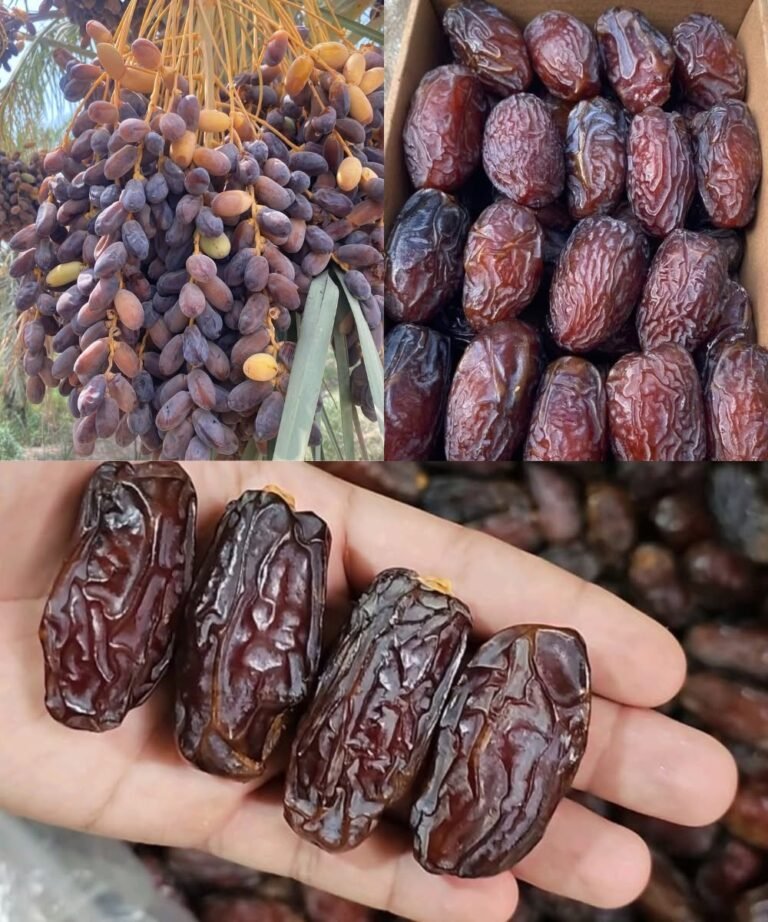 14 Health Benefits of Dates That Will Surprise You (& Side Effects)