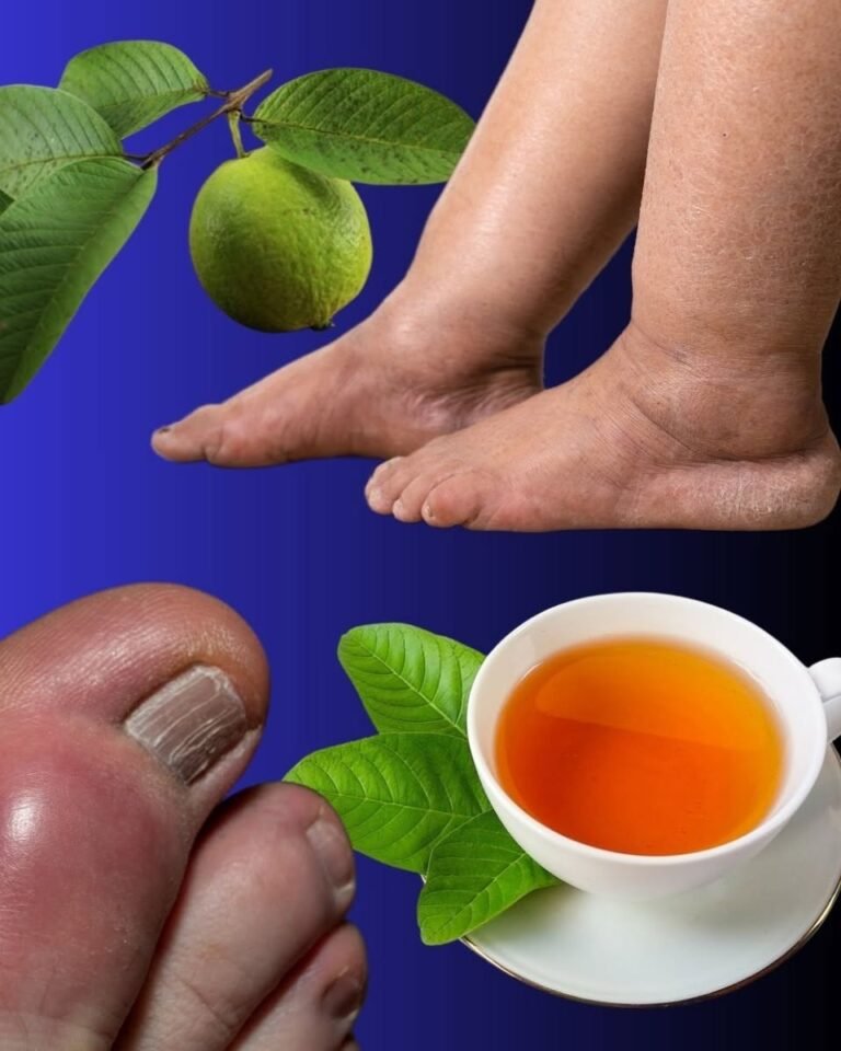 🌿 Guava Leaves for Water Retention: A Natural Remedy That Really Helps
