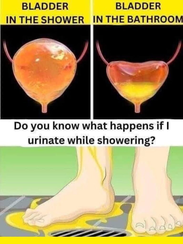 The Shower Urination Debate: What Really Happens When You Pee in the Shower?
