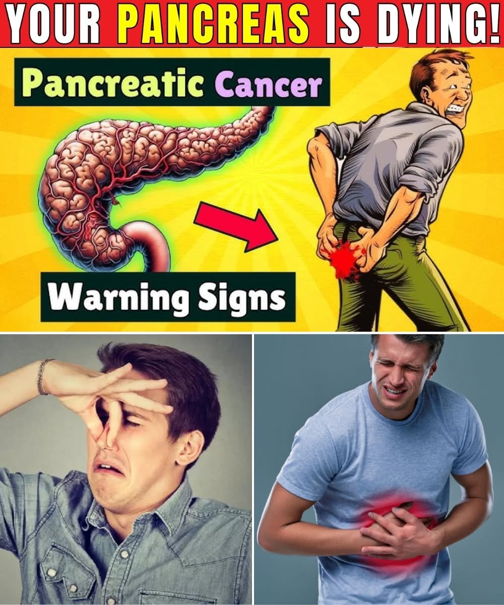 8 Symptoms of Pancreatic Cancer That Will Shock You | Critical Warning Signs