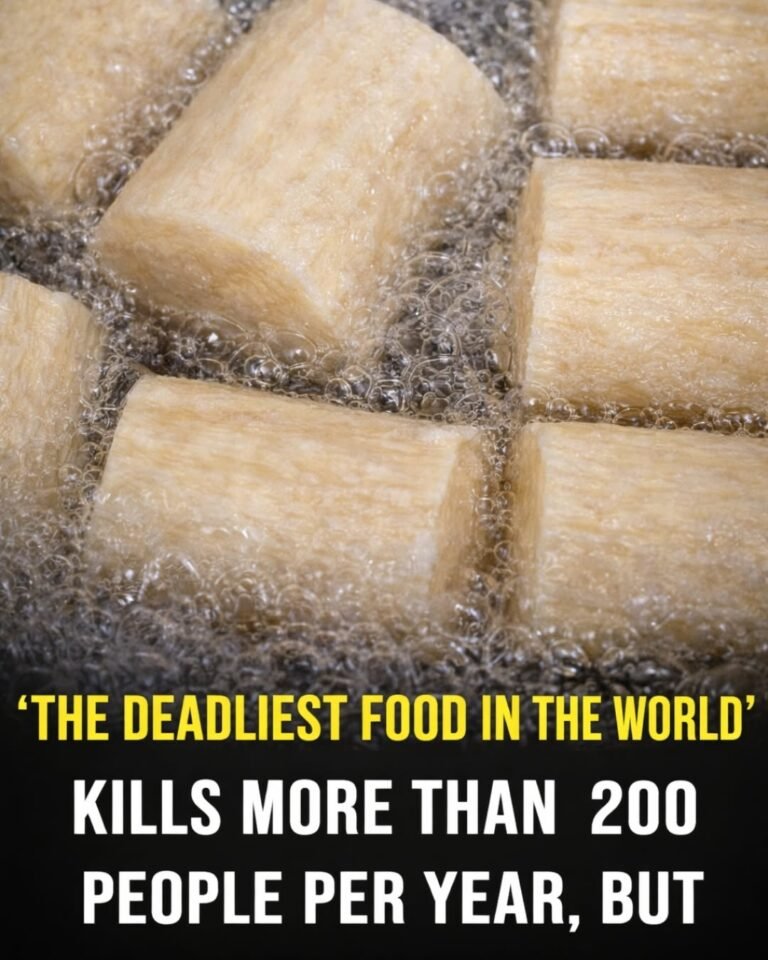 ⚠️ The Danger of Eating Cassava: What You Must Know Before Consuming It