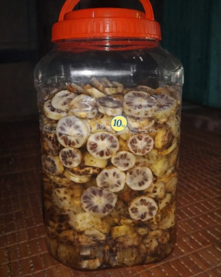 Noni Fruit with Rock Sugar: A Natural Remedy for Blood Pressure, Joint Health, and Immunity