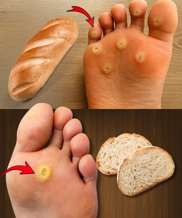 The Bread Remedy for Foot Calluses: Does It Really Work? Complete 2025 Guide