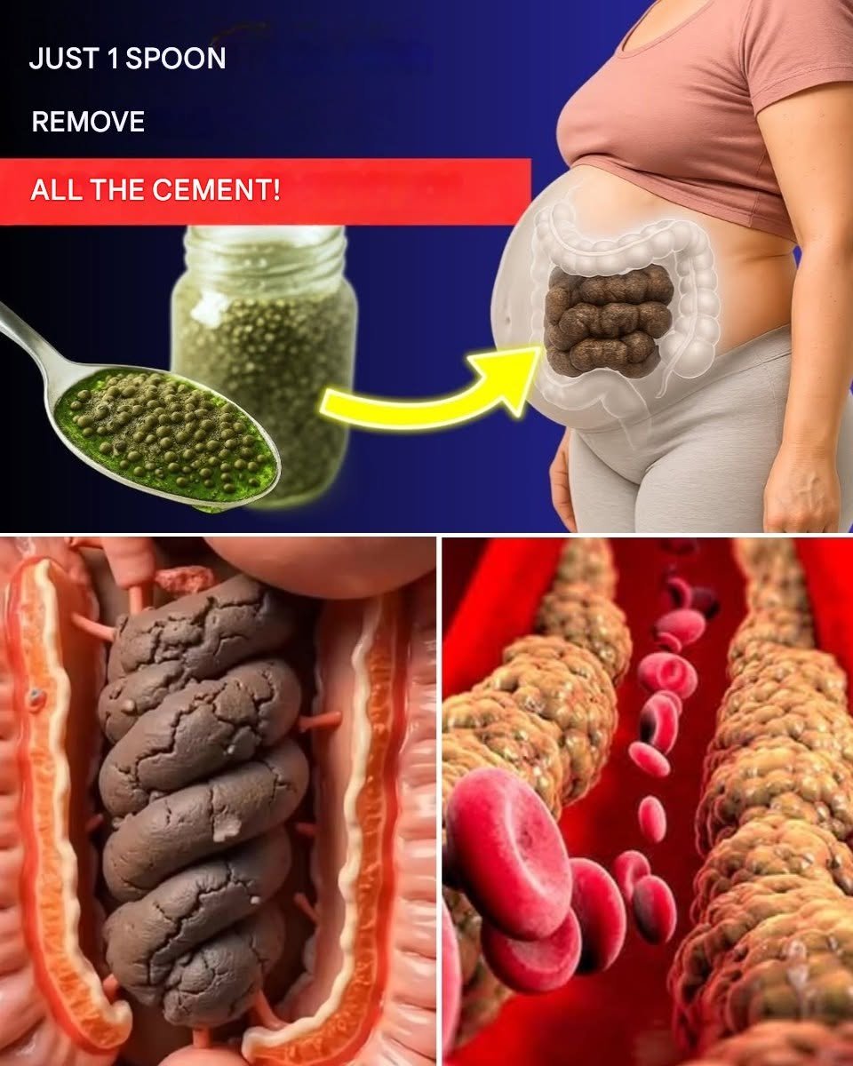 ✨ Japan’s Oldest Doctor Reveals: The One Simple Cup to Gently Support Your Digestive Health