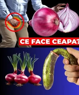 Onion: The Gentle Everyday Ally for Men’s Vitality After 50