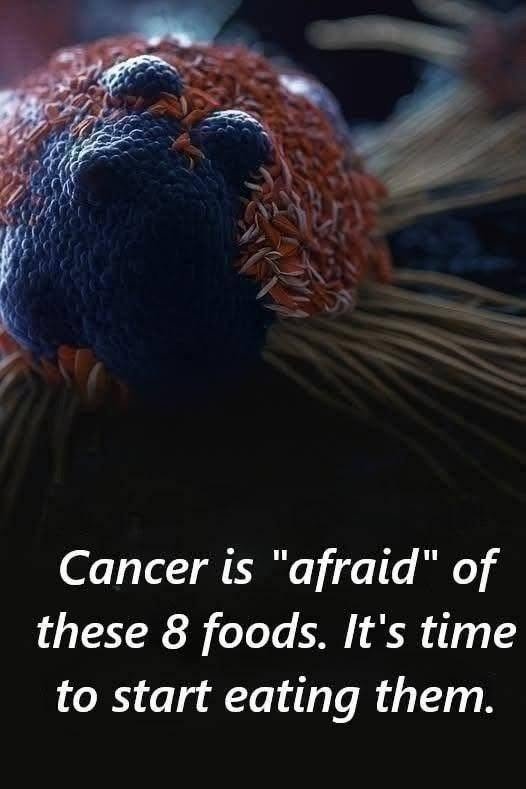 8 Powerful Foods That May Help Lower Cancer Risk Naturally