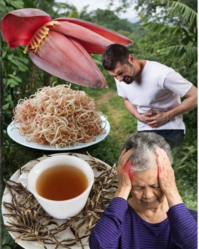 🌸 Banana Blossom: A Nutrient-Rich Traditional Food That Supports Digestion, Women’s Health, and Overall Wellness