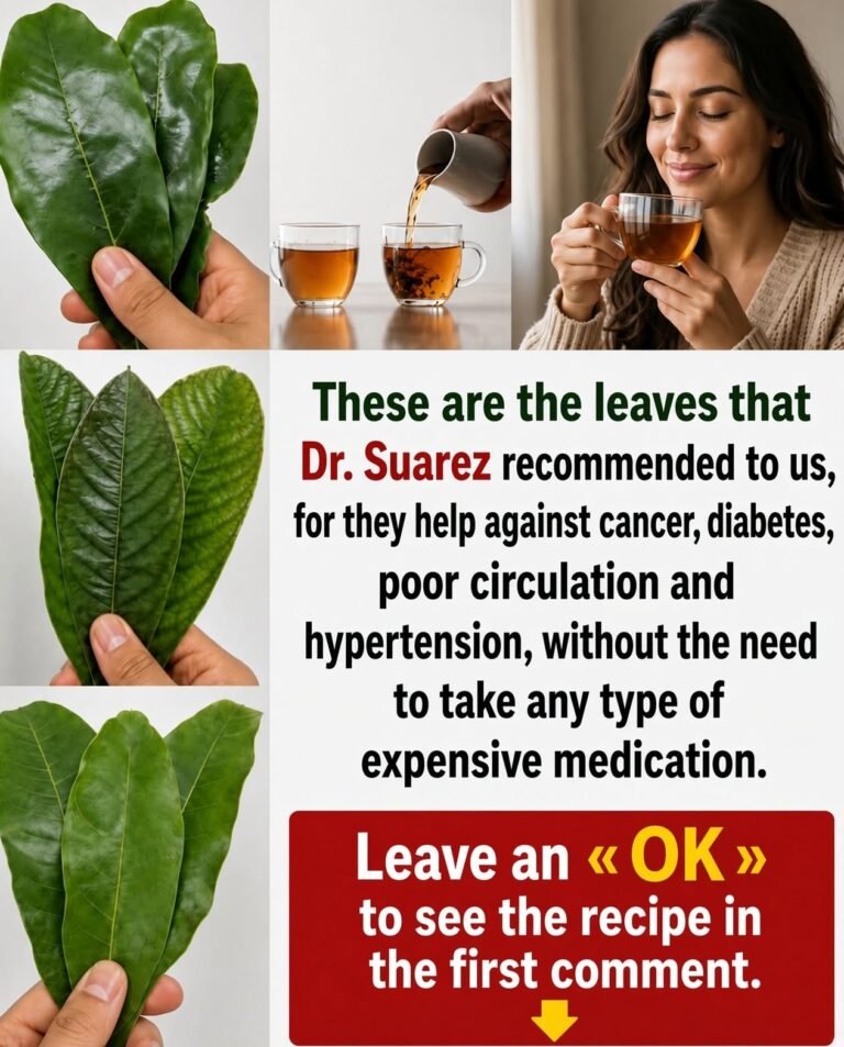 Natural Leaf Teas: How to Prepare and Consume Them SafelyNatural Leaf Teas: How to Prepare and Consume Them Safely