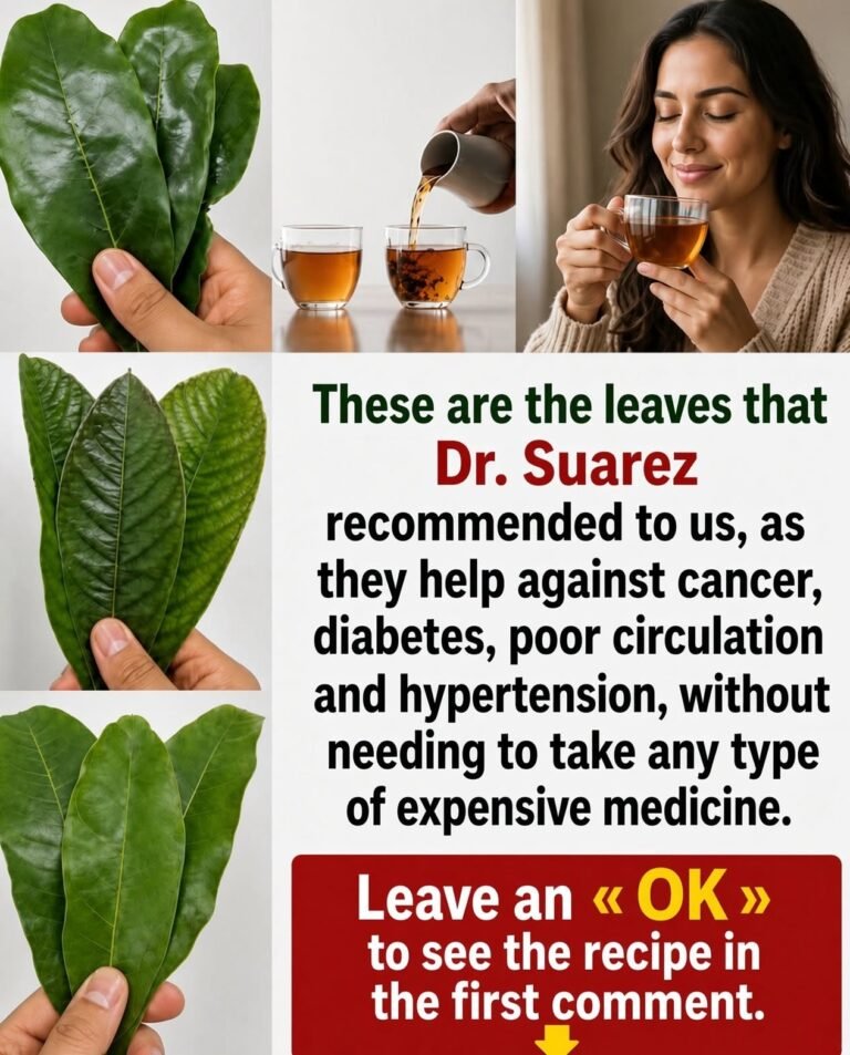 Natural Leaf Teas: How to Prepare Them Safely and What You Should Know