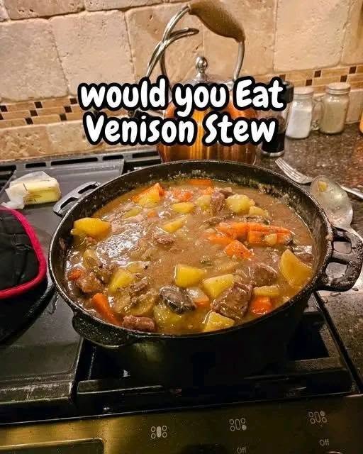 OLD FASHIONED BEEF STEW