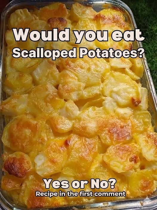 Best Scalloped Potatoes
