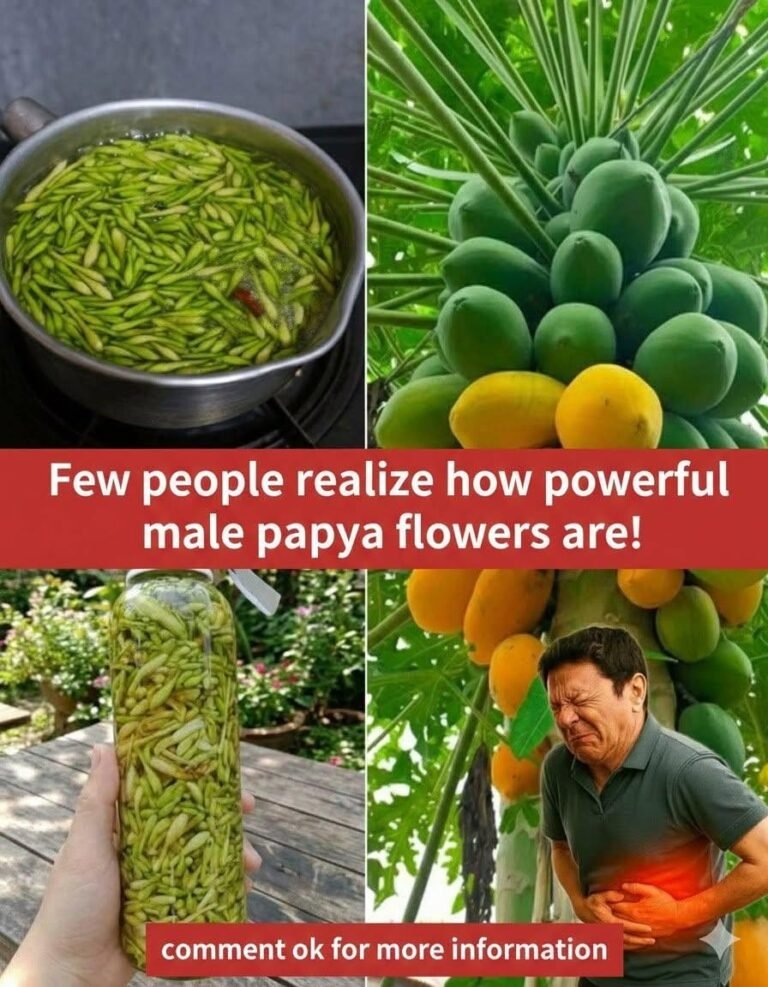 Benefits and Uses of Papaya Flowers Soaked in Honey