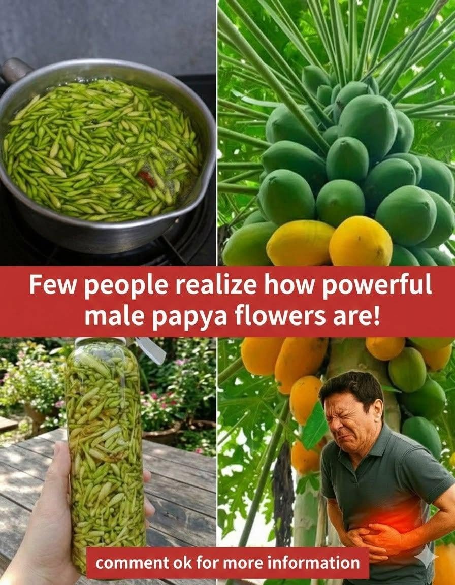 Benefits and Uses of Papaya Flowers Soaked in Honey