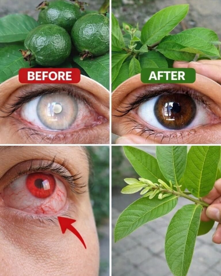 Discover How Guava Can Support Your Eye Health Naturally – Simple Ways to Add It to Your Routine