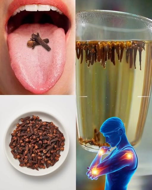 Discover the Benefits of Clove Water for Your Health