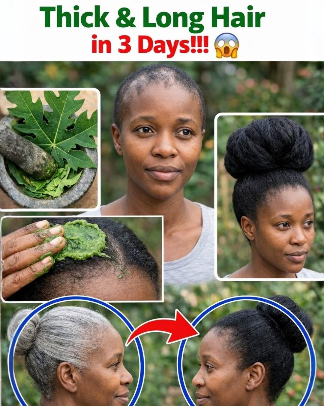 Papaya Leaf Hair Mask: How This Natural Treatment Could Transform Your Hair