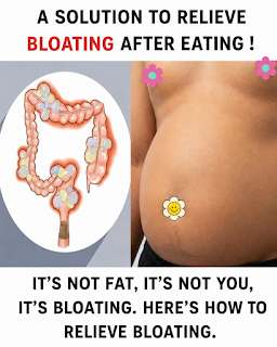 Learn Healthier Ways to Reduce Belly Bloat and Support Digestive Wellness Naturally