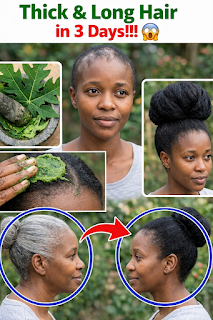 Papaya Leaf Hair Mask: How This Natural Treatment Could Transform Your Hair