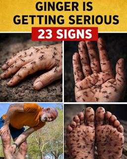 23 Early Warning Signs Your Kidneys May Need Attention