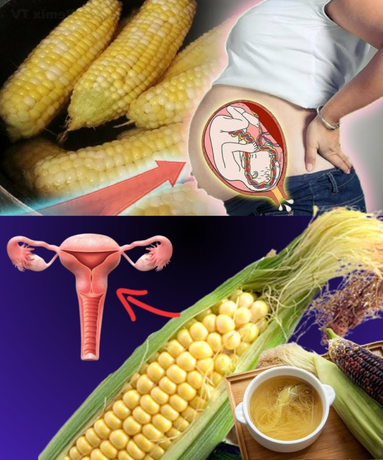 🌽 Corn Silk: The Golden Thread of Natural Healing You’ve Been Overlooking