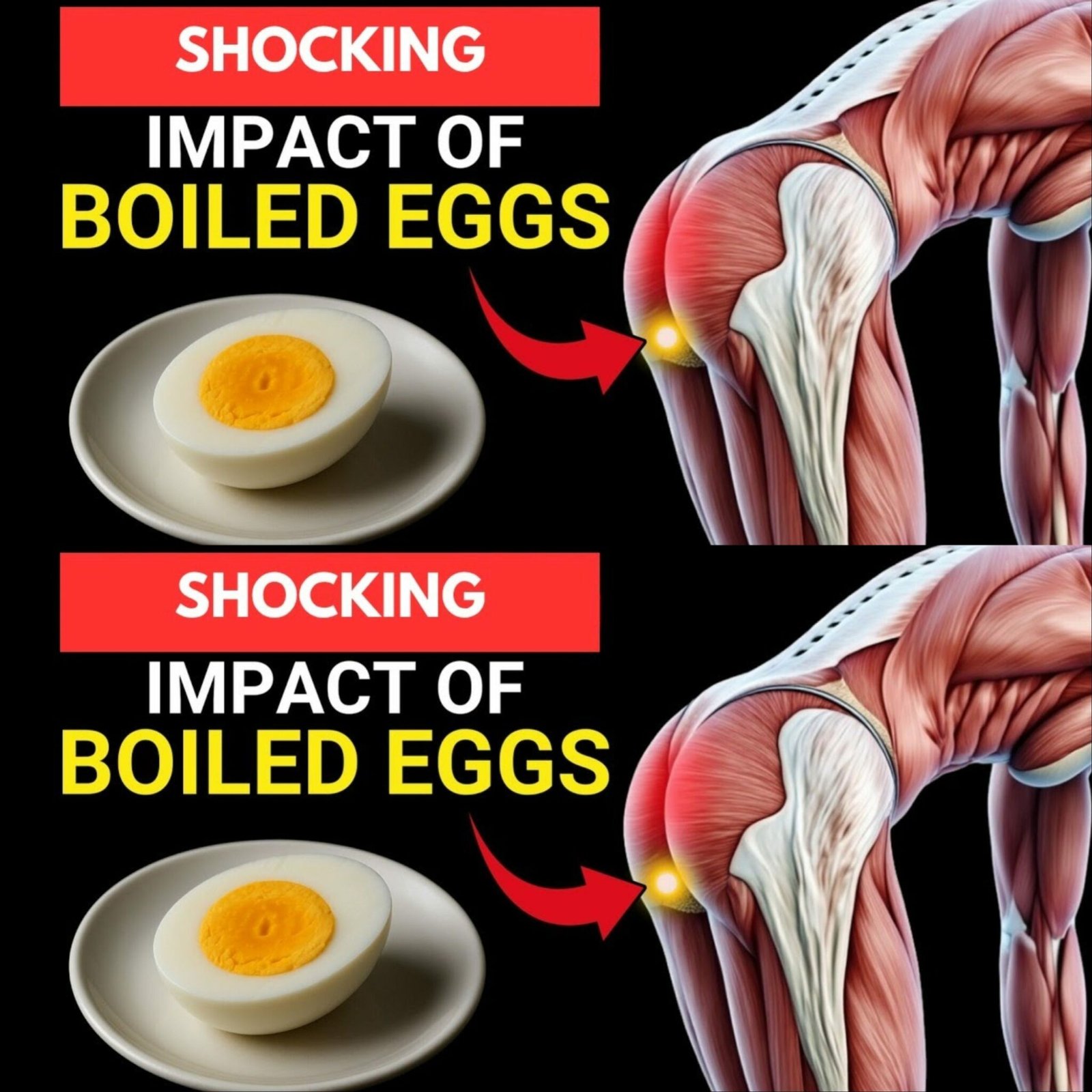 What Happens to Your Body When You Eat 2 Eggs Every Day?
