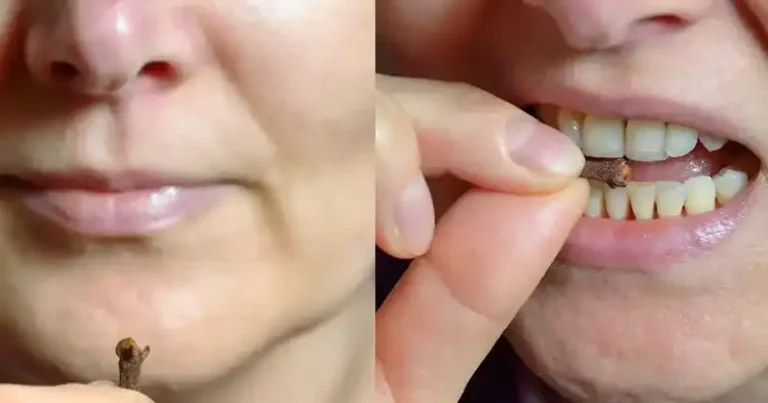 Chewing Cloves Daily: A Tiny Habit with Massive Health Benefits