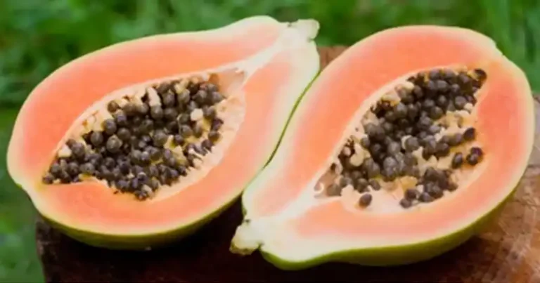 The Surprising Health Benefits of Papaya Seeds: A Natural Powerhouse