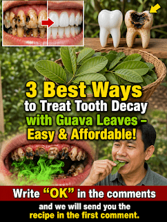 3 Simple Ways Guava Leaves May Help Support Oral Health Naturally