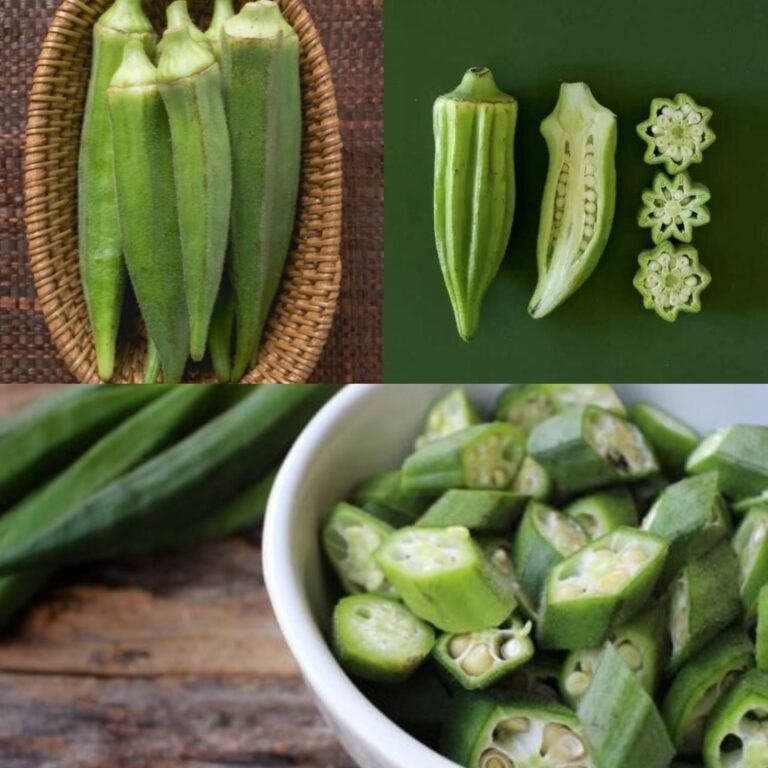 Okra: Amazing Health Benefits of This Nutritious Green Vegetable